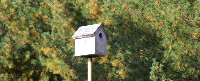 Bird House