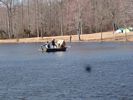 Pond Maintanence